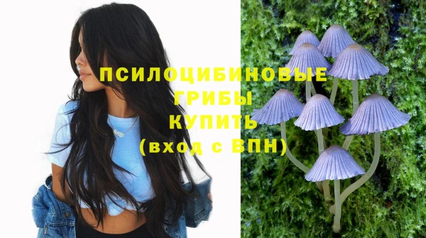 прущие грибы Алзамай