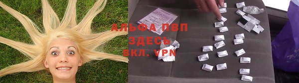 прущие грибы Алзамай