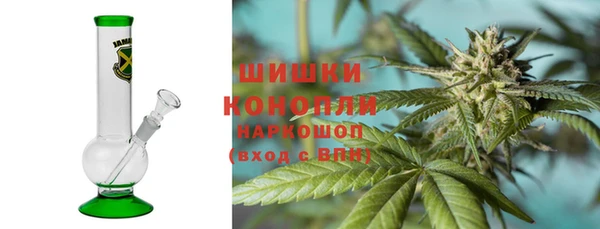 прущие грибы Алзамай