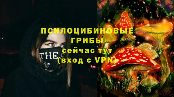 стафф Алексеевка