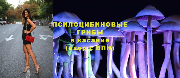 прущие грибы Алзамай