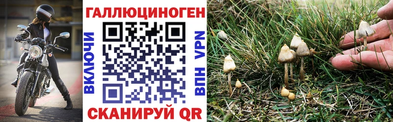 mega сайт  купить   Спас-Клепики  Псилоцибиновые грибы Magic Shrooms 